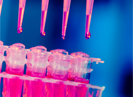 Transforming Digital for a Fast Track Biotech